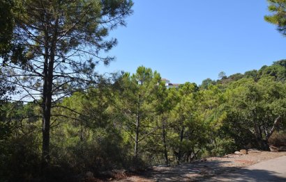 New Build - House - Detached Villa - Benahavís - Benahavís Centro