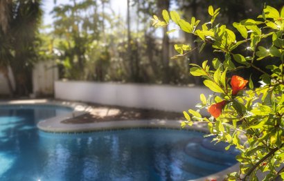 Resale - House - Detached Villa - Benahavís - Benahavís Centro