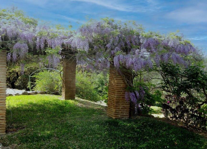 Resale - House - Finca - Cortijo - Alhaurín el Grande - Alhaurín el Grande Centro