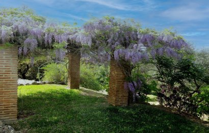 Resale - House - Finca - Cortijo - Alhaurín el Grande - Alhaurín el Grande Centro