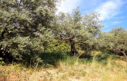 Resale - House - Finca - Cortijo - Alhaurín el Grande - Alhaurín el Grande Centro