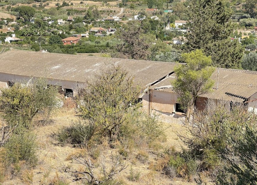 Resale - House - Finca - Cortijo - Alhaurín el Grande - Alhaurín el Grande Centro