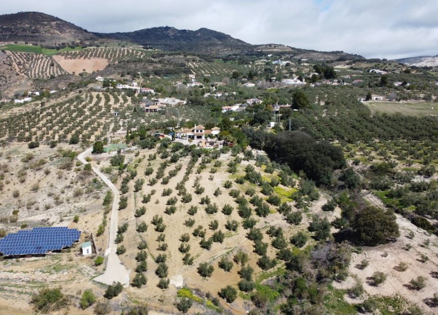 Resale - House - Finca - Cortijo - Antequera - Antequera Centro