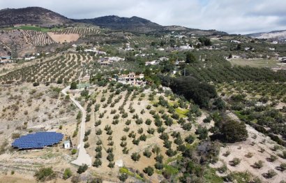 Resale - House - Finca - Cortijo - Antequera - Antequera Centro