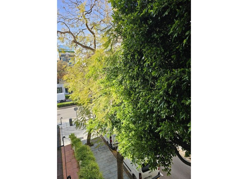 Resale - Apartment - Middle Floor Apartment - Marbella - Marbella Centro