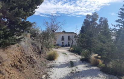 Resale - House - Detached Villa - Mijas - Mijas Centro