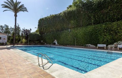 Resale - Apartment - Ground Floor Apartment - Marbella - Nueva Andalucia