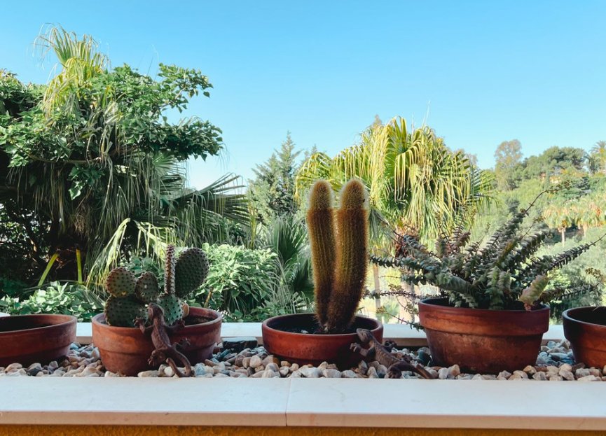 Resale - Apartment - Middle Floor Apartment - Marbella - Reserva de Marbella