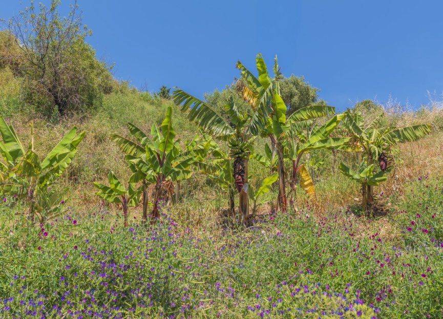 Reventa - Plot - Land - Estepona - Estepona Centro