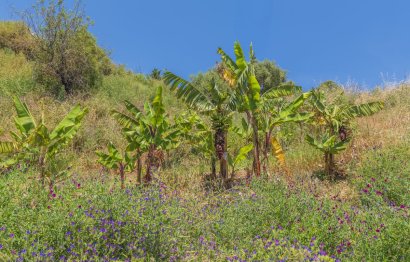 Reventa - Plot - Land - Estepona - Estepona Centro