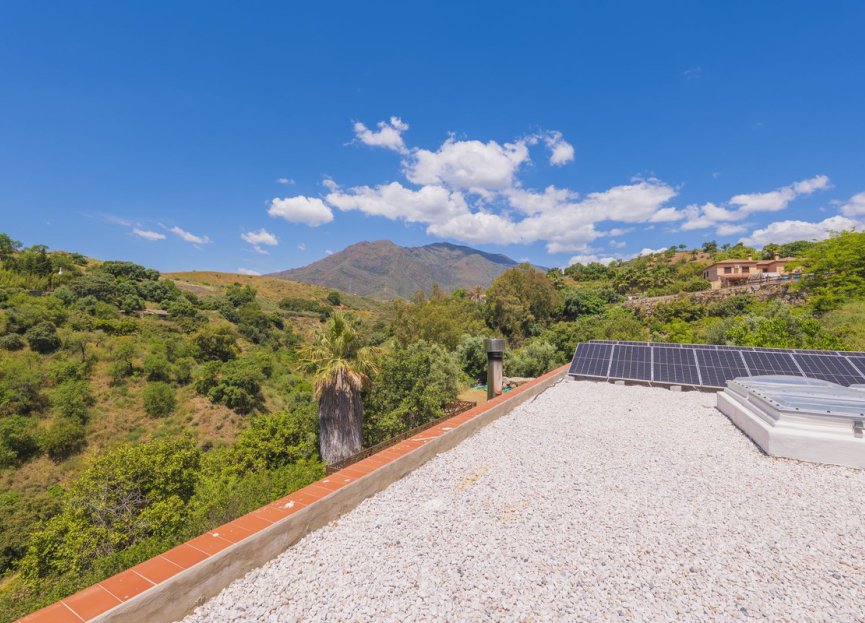 Reventa - Plot - Land - Estepona - Estepona Centro