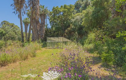 Reventa - Plot - Land - Estepona - Estepona Centro