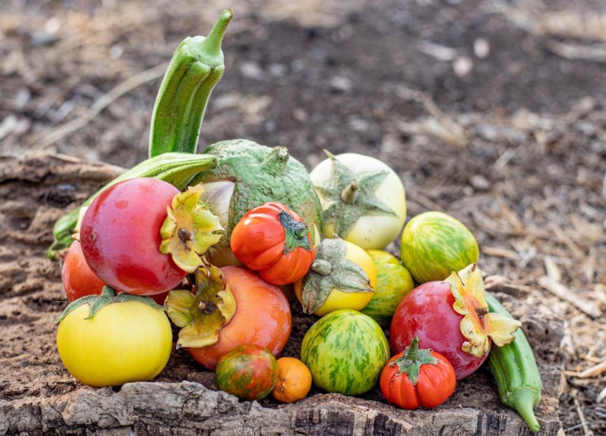 Reventa - Plot - Land - Estepona - Estepona Centro