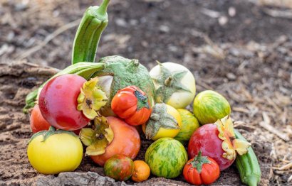 Reventa - Plot - Land - Estepona - Estepona Centro