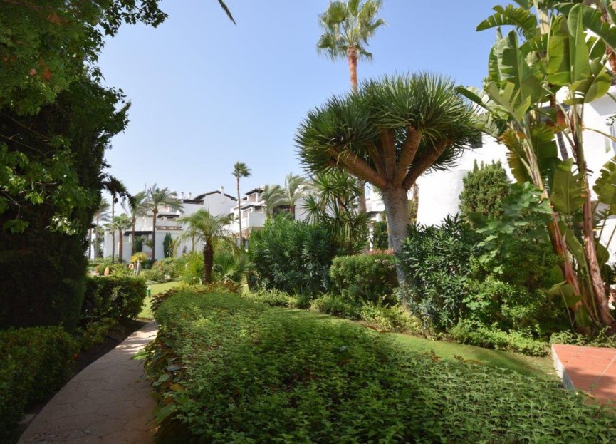 Resale - Apartment - Middle Floor Apartment - Estepona - Costalita