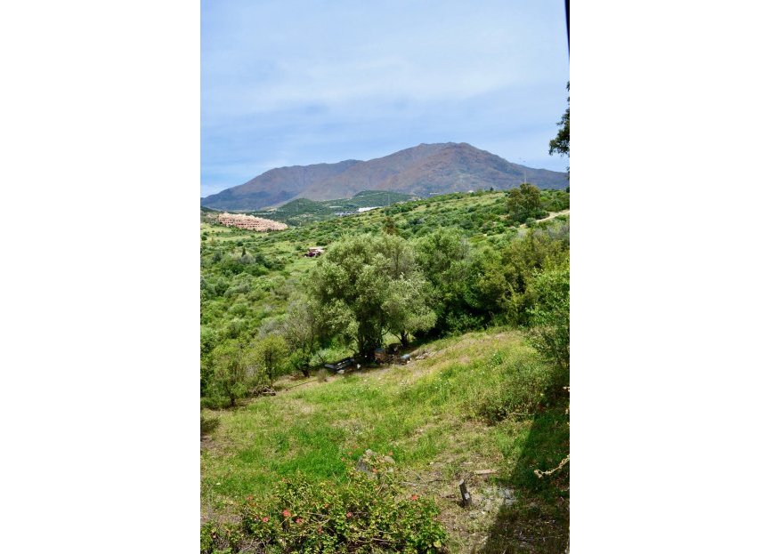 Resale - Plot - Land - Estepona - Estepona Centro