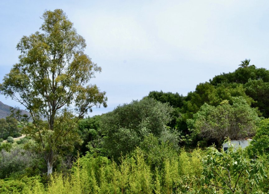 Resale - Plot - Land - Estepona - Estepona Centro