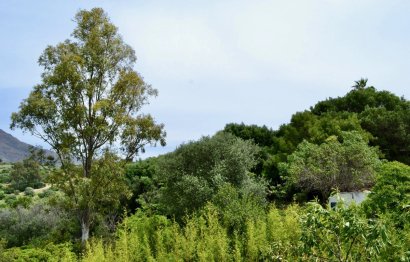 Resale - Plot - Land - Estepona - Estepona Centro