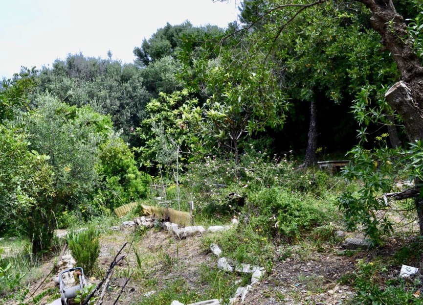 Resale - Plot - Land - Estepona - Estepona Centro