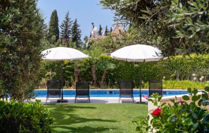 Resale - Ground floor apartment - Marbella - Marbella Centro