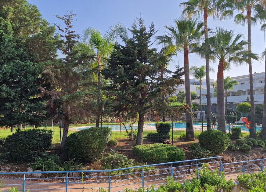 Resale - Apartment - Middle Floor Apartment - Marbella - Nueva Andalucia