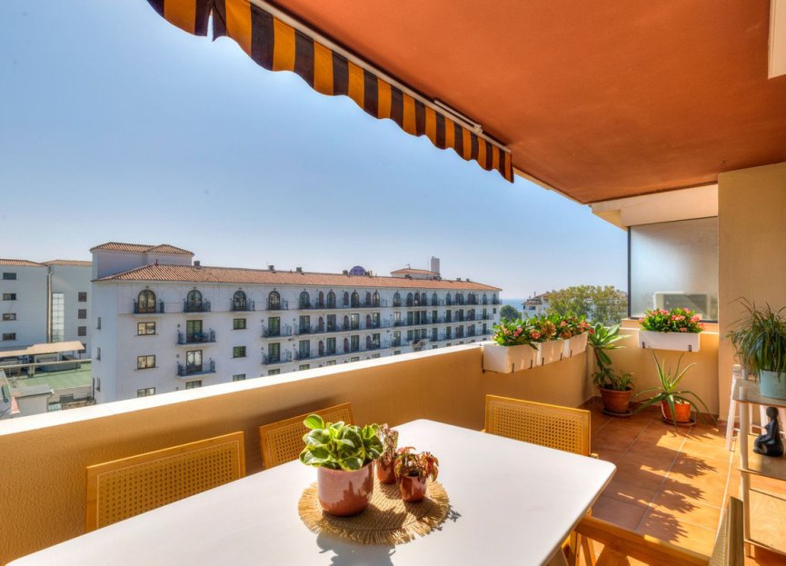 Resale - Apartment - Middle Floor Apartment - Marbella - Nueva Andalucia