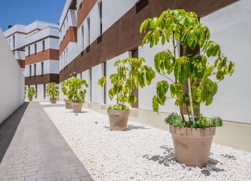 Resale - Apartment - Middle Floor Apartment - Estepona - Estepona Centro