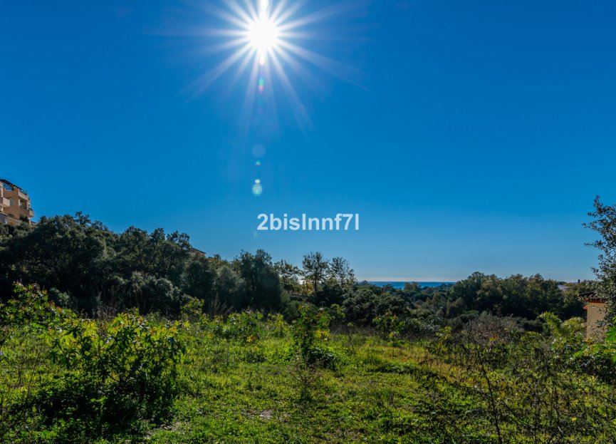 Resale - Plot - Residential Plot - Elviria