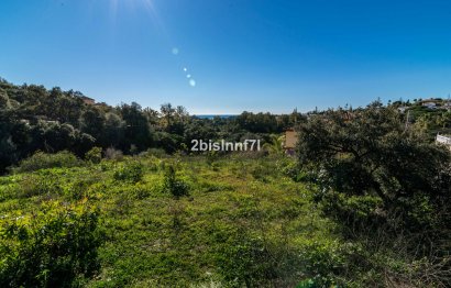 Resale - Plot - Residential Plot - Elviria