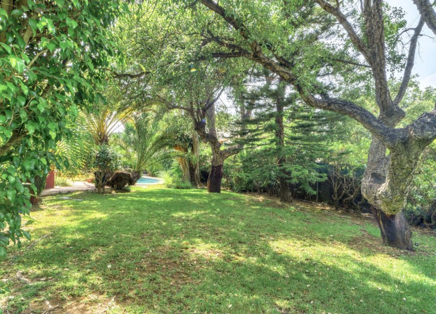 Resale - House - Detached Villa - Marbella - El Rosario