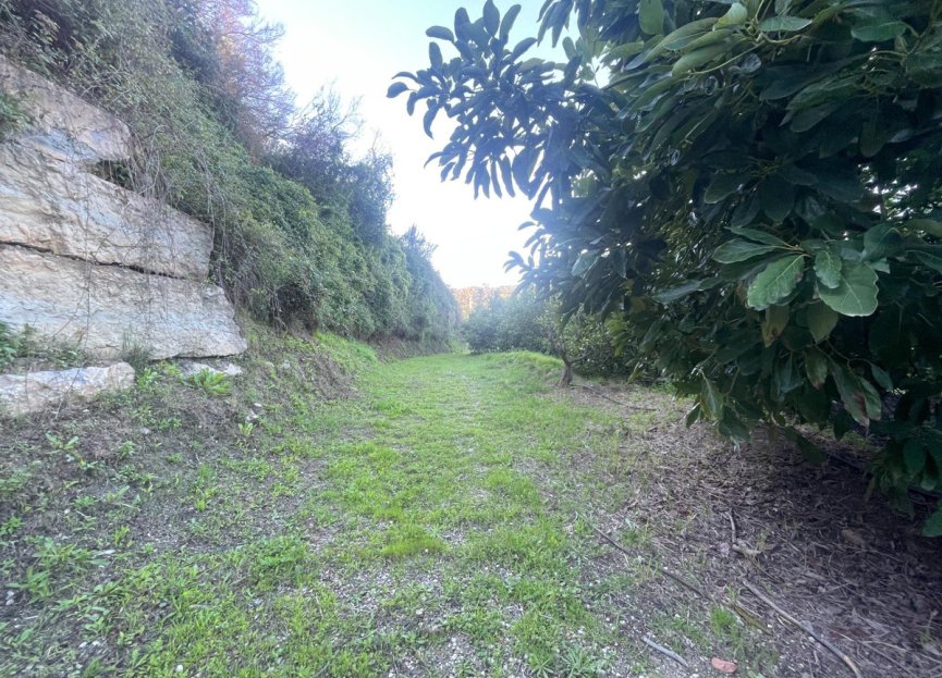 Resale - House - Finca - Cortijo - Estepona - Estepona Centro