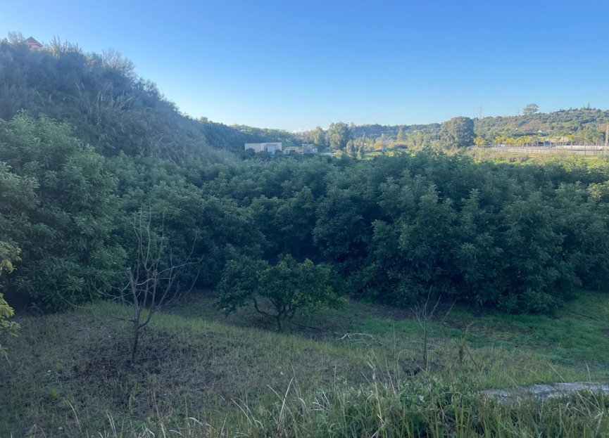 Resale - House - Finca - Cortijo - Estepona - Estepona Centro