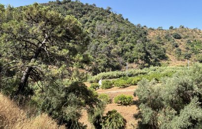 Resale - Plot - Land - Estepona - Estepona Centro