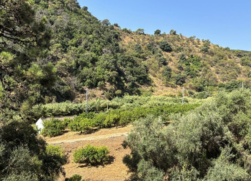 Resale - Plot - Land - Estepona - Estepona Centro