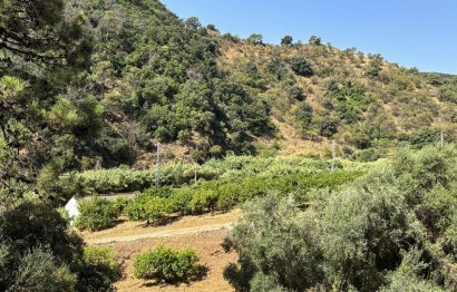 Resale - Plot - Land - Estepona - Estepona Centro