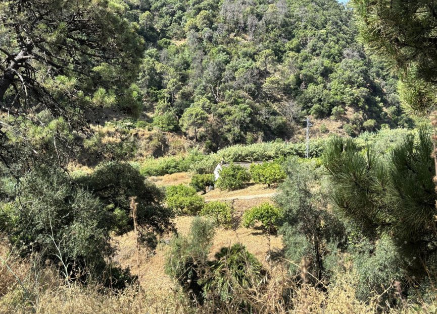 Resale - Plot - Land - Estepona - Estepona Centro