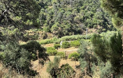 Resale - Plot - Land - Estepona - Estepona Centro