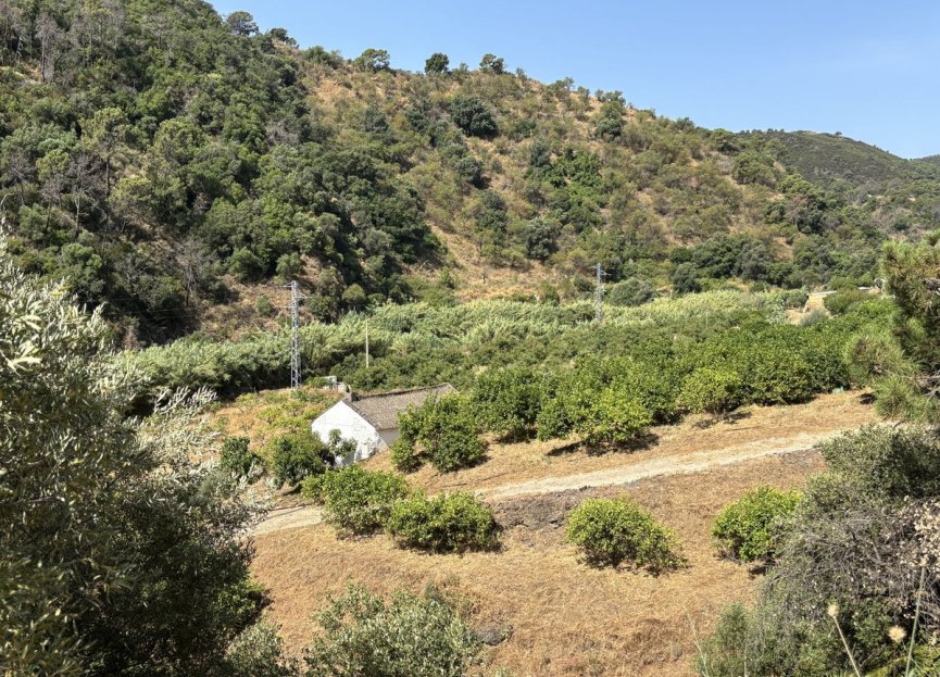 Resale - Plot - Land - Estepona - Estepona Centro