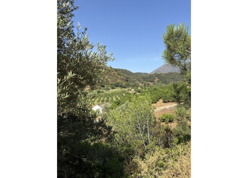 Resale - Plot - Land - Estepona - Estepona Centro