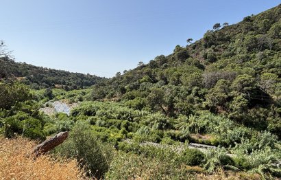 Resale - Plot - Land - Estepona - Estepona Centro