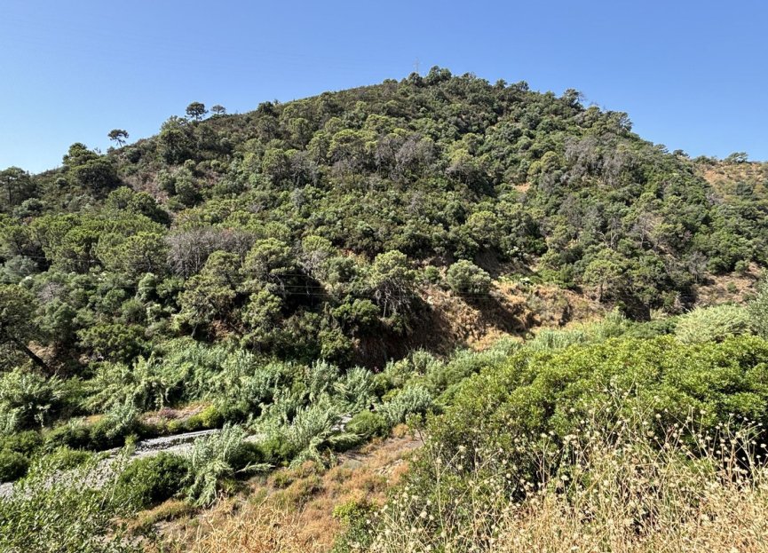 Resale - Plot - Land - Estepona - Estepona Centro