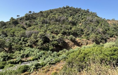 Resale - Plot - Land - Estepona - Estepona Centro