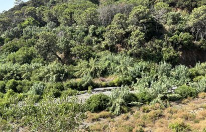 Resale - Plot - Land - Estepona - Estepona Centro