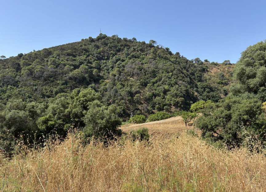 Resale - Plot - Land - Estepona - Estepona Centro