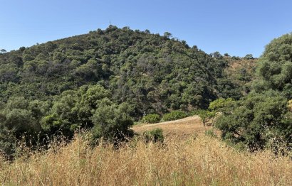 Resale - Plot - Land - Estepona - Estepona Centro