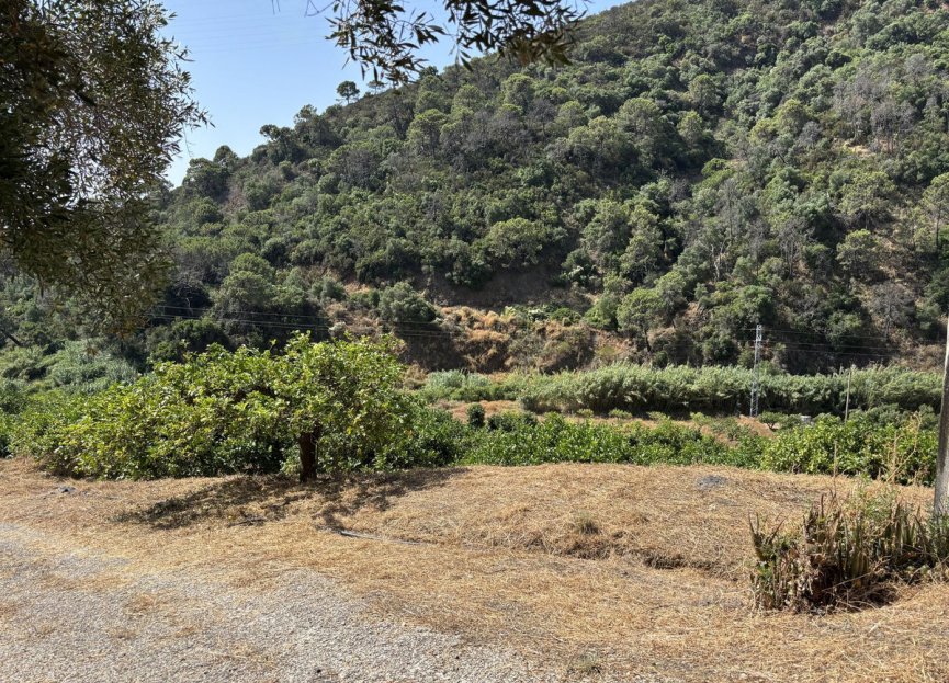 Resale - Plot - Land - Estepona - Estepona Centro