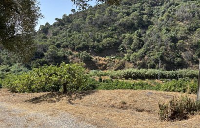 Resale - Plot - Land - Estepona - Estepona Centro