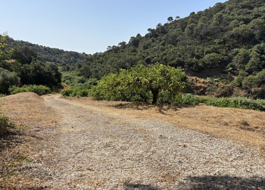 Resale - Plot - Land - Estepona - Estepona Centro