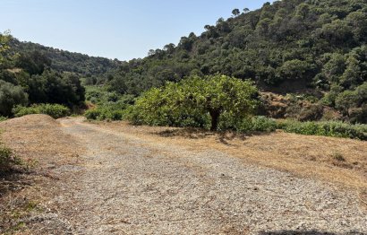 Resale - Plot - Land - Estepona - Estepona Centro