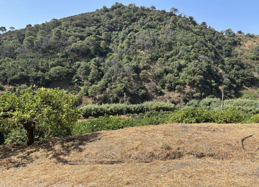 Resale - Plot - Land - Estepona - Estepona Centro